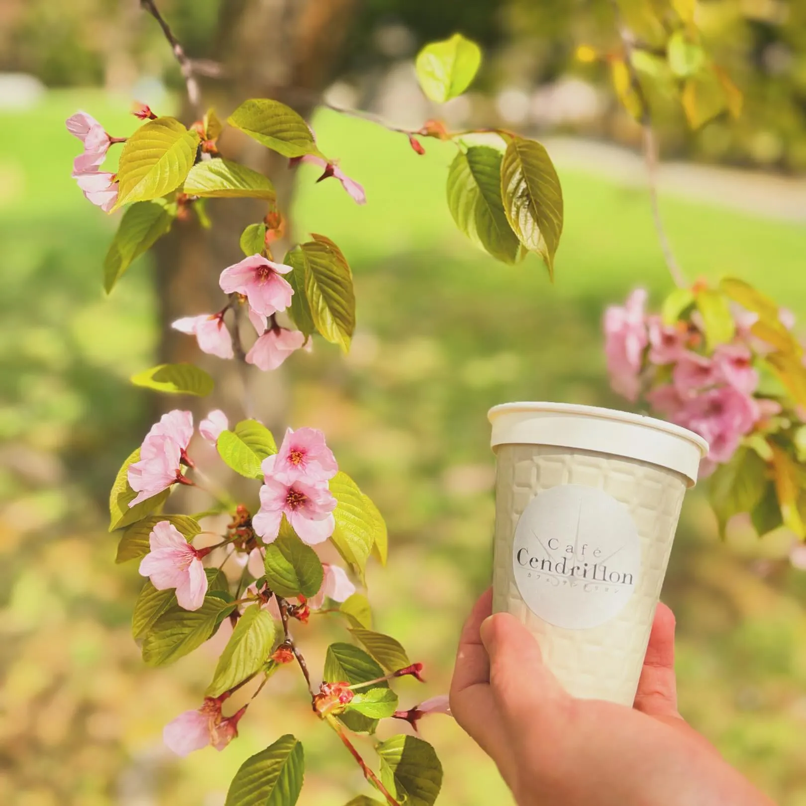 ●本日もたくさんのご来館ありがとうございます🌸