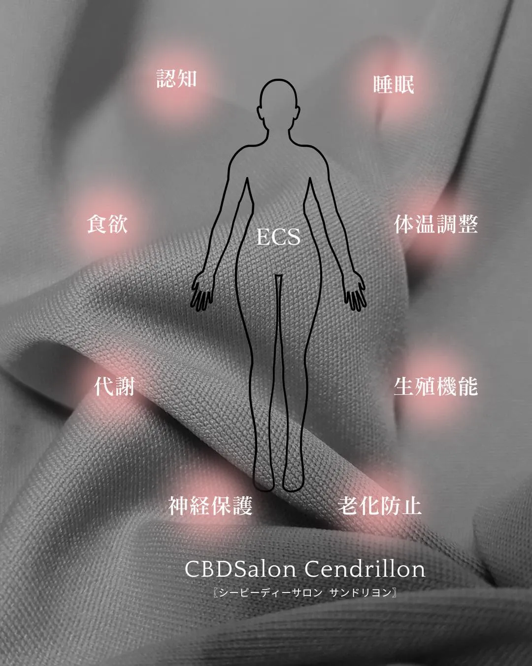 ●CBDが継続的に摂る方が良いと言われている理由🔔