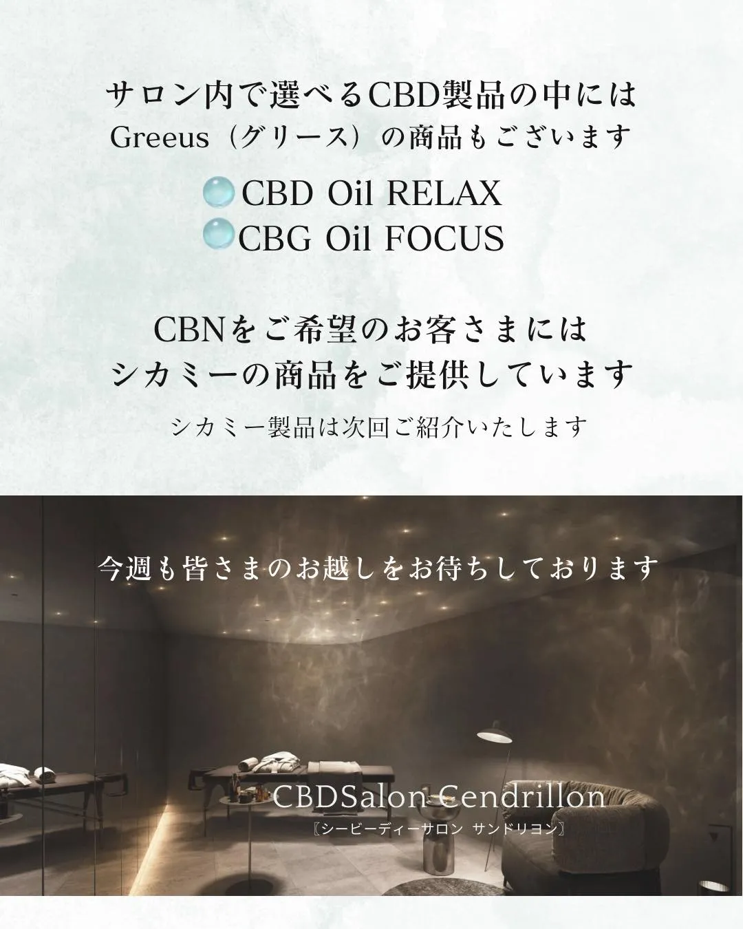 ●Greeus（グリース）製品をご紹介🌼