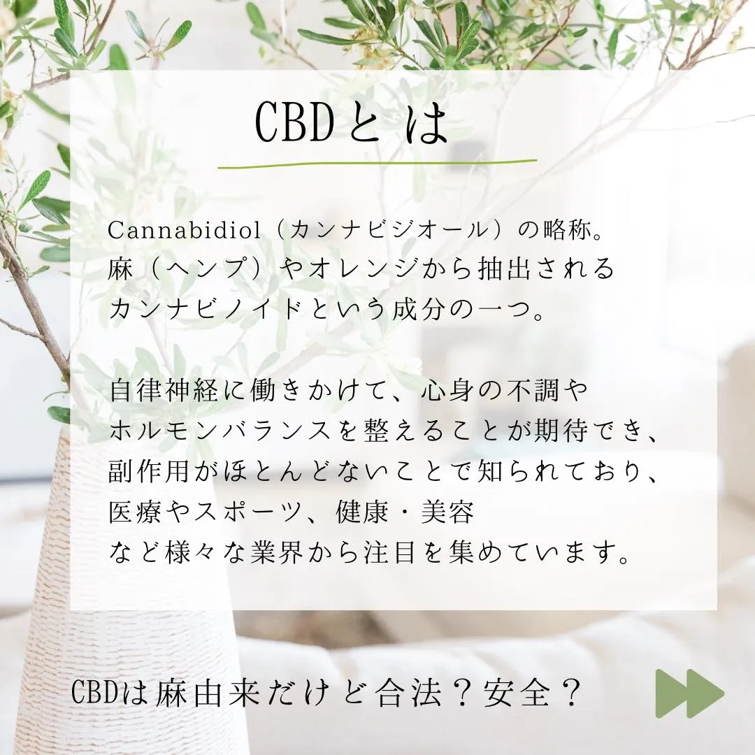 ●CBDって何ですか？