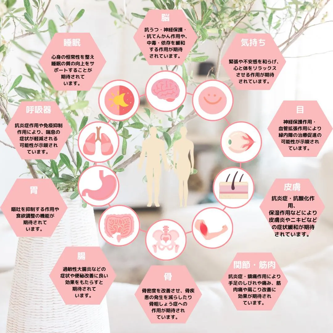 ●CBDって何ですか？