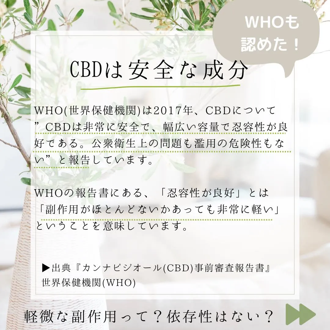 ●CBDって何ですか？パート2