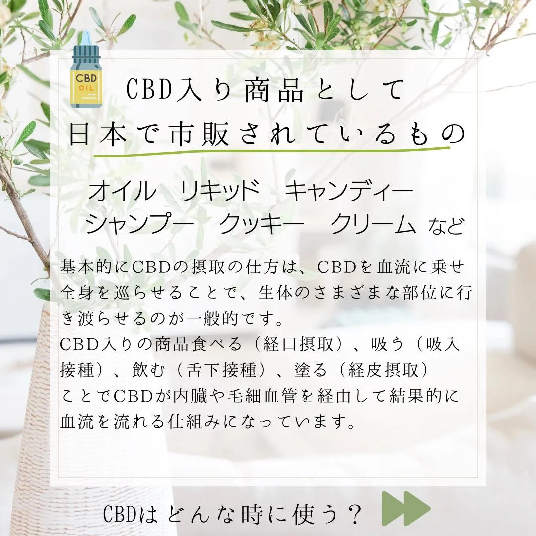●CBDって何ですか？パート2