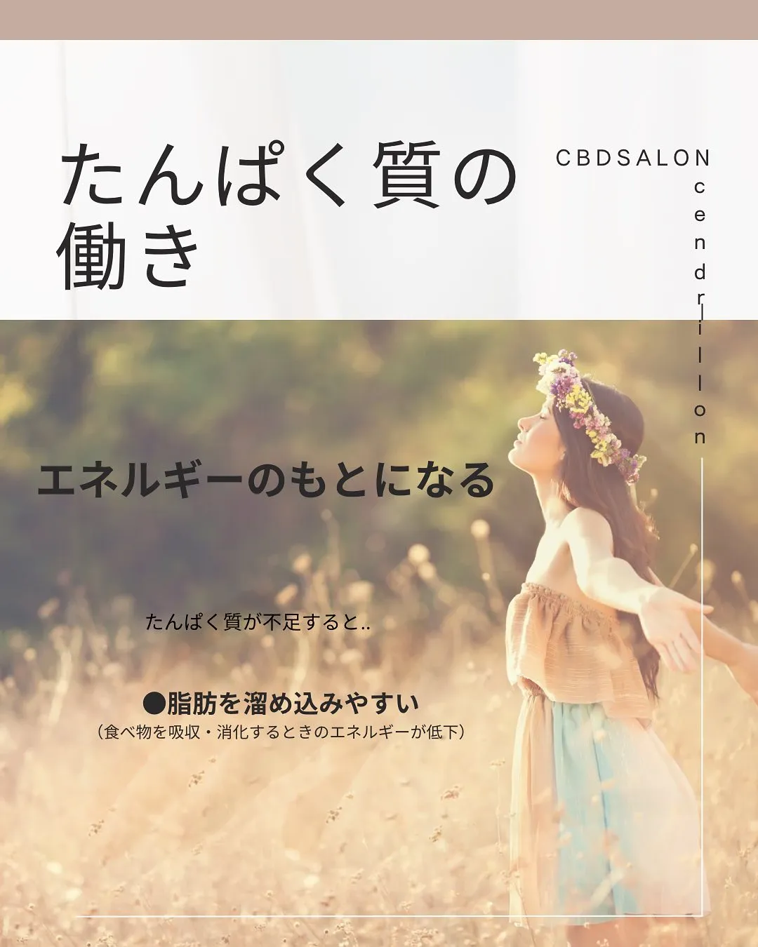 前回に続き、たんぱく質について🌈