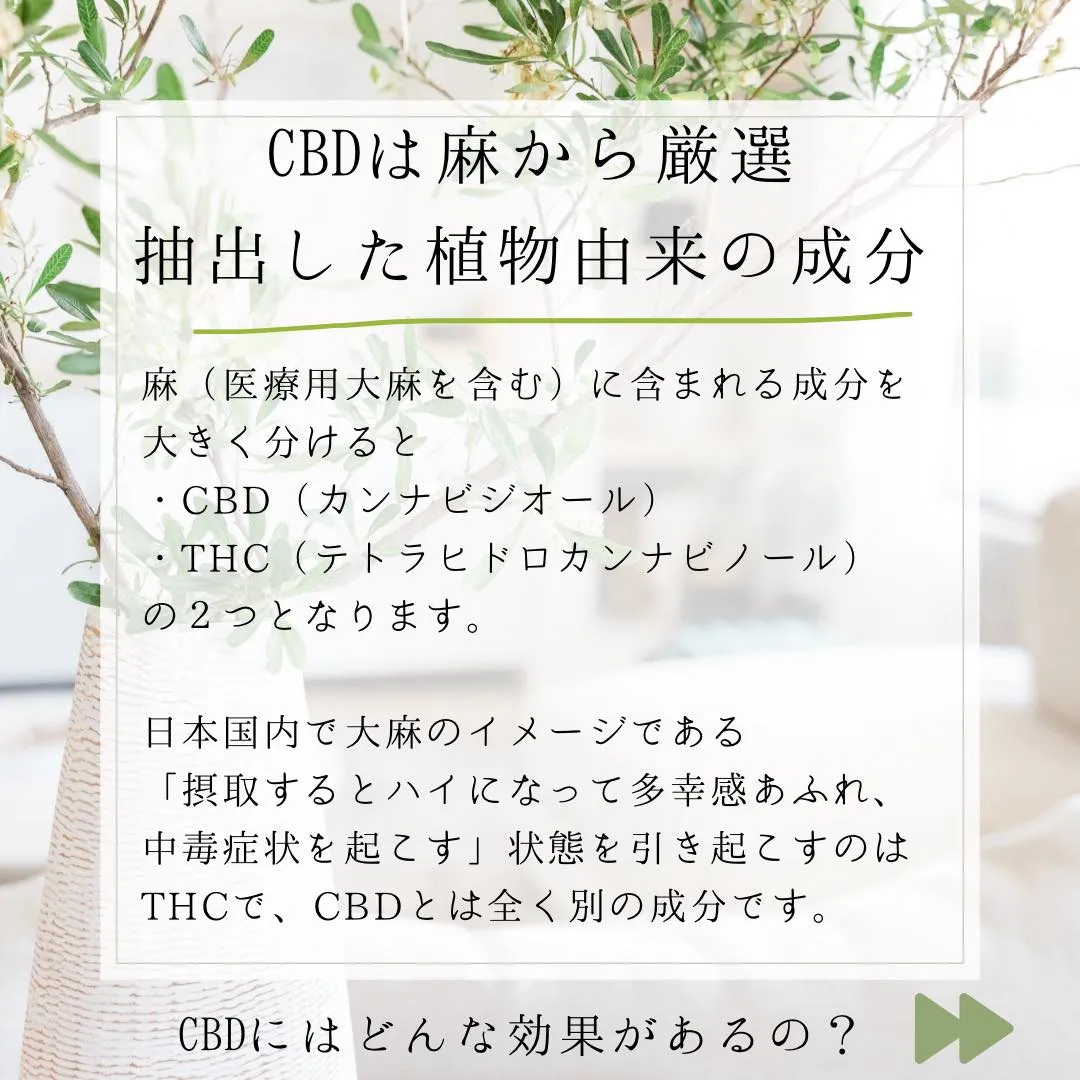 ●CBDって何ですか？