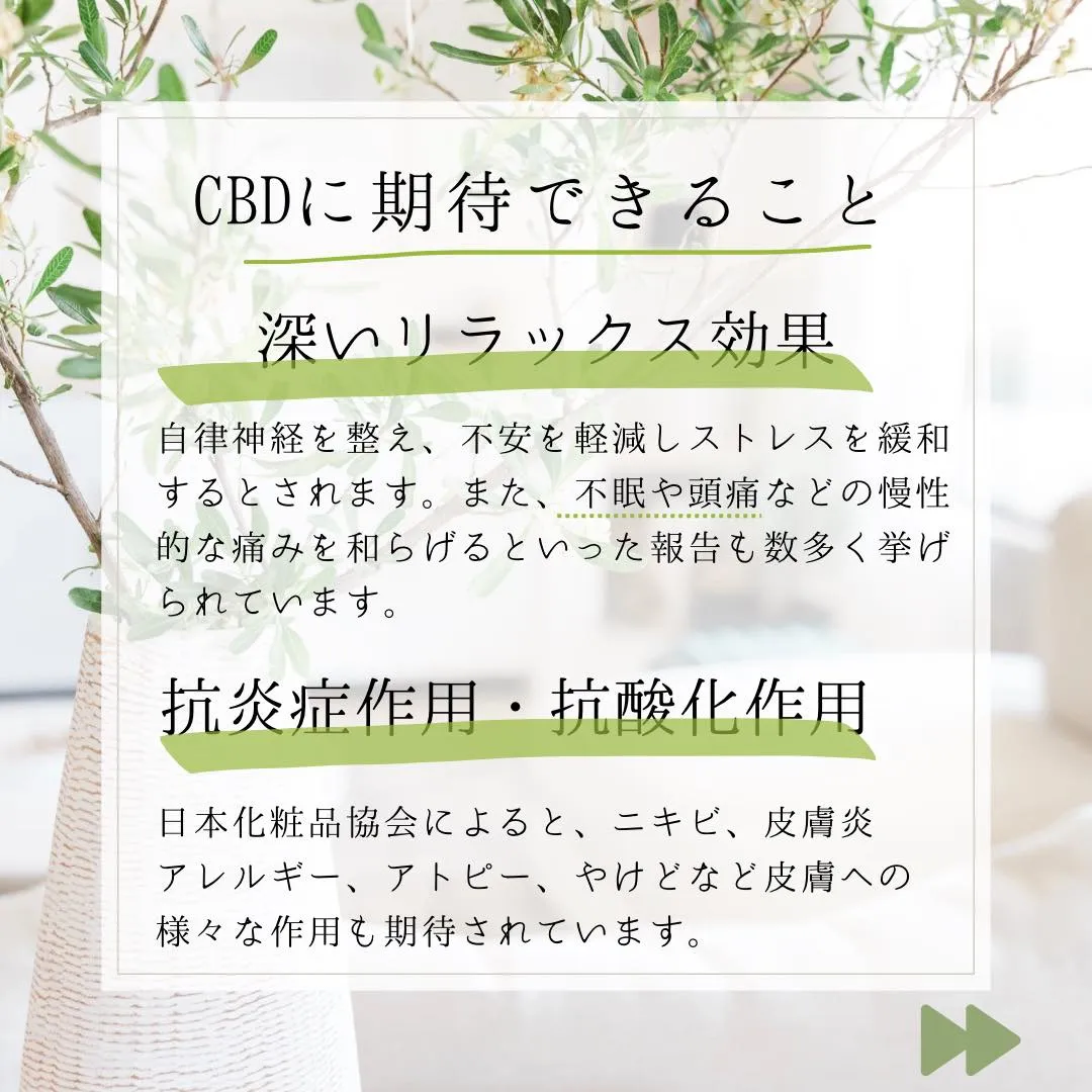 ●CBDって何ですか？