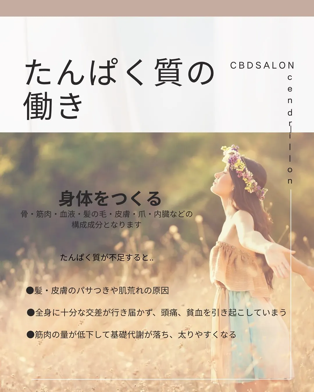 前回に続き、たんぱく質について🌈