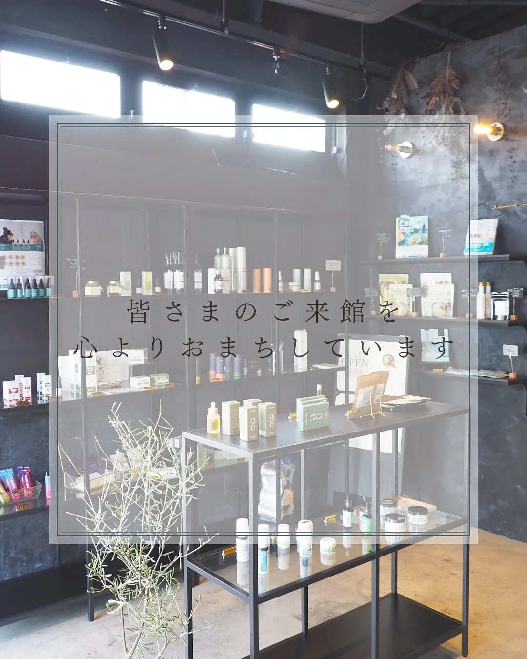 ●入荷のお知らせ🌈