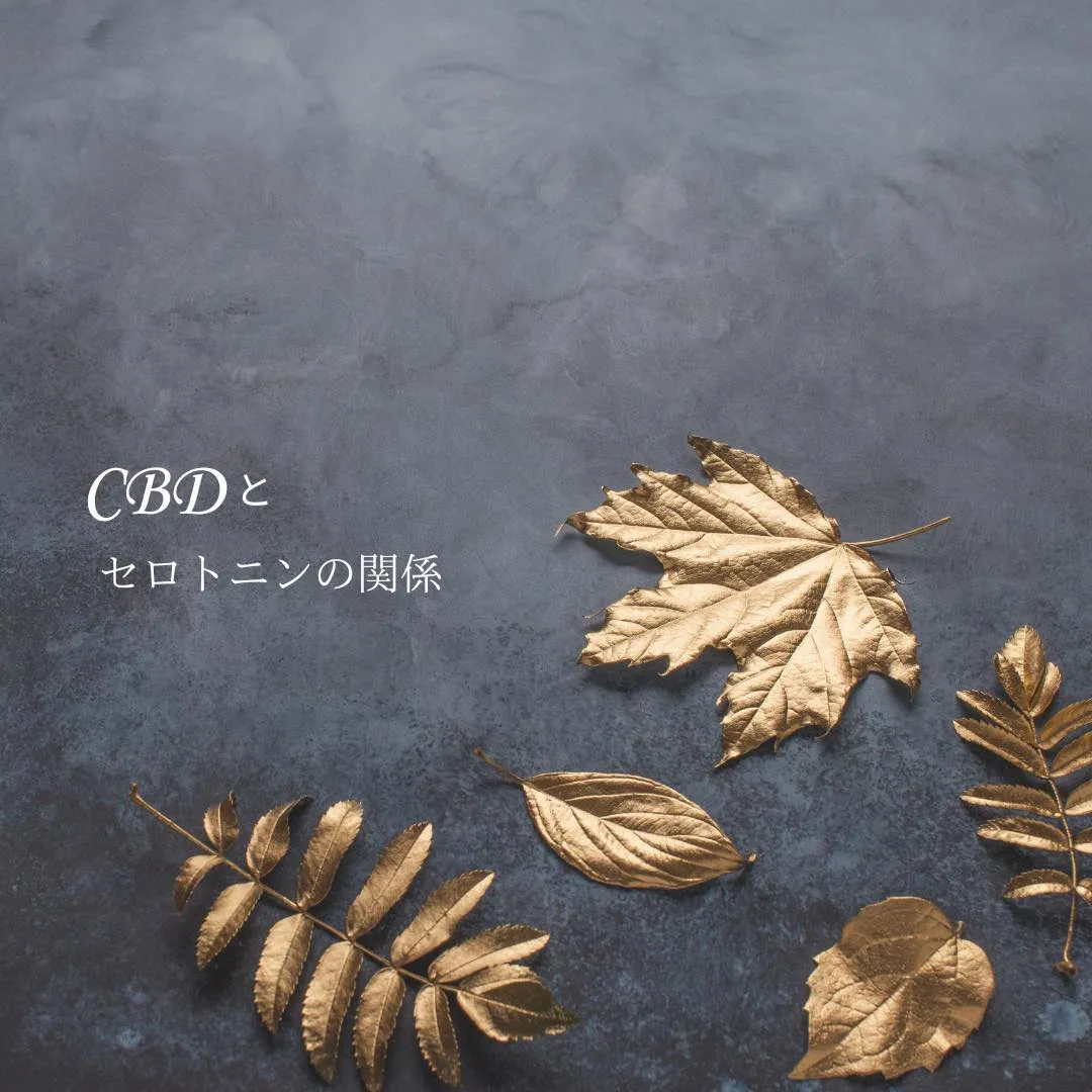 ●CBDとセロトニンの関係性