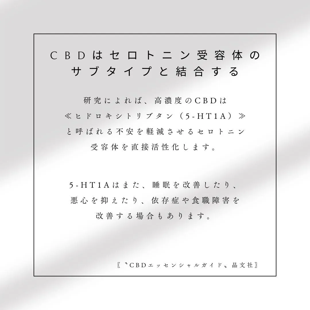 ●CBDとセロトニンの関係性